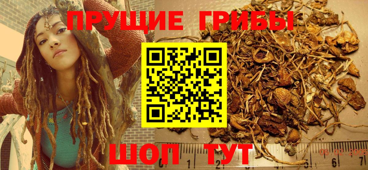 Лесозаводск  Псилоцибиновые грибы GOLDEN TEACHER  Вход с VPN  Псилоцибиновые грибы прущие грибы 